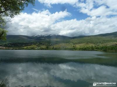 RETO Senderista,Valle Lozoya; grupo senderismo valencia casa del bosque nieve en cercedilla